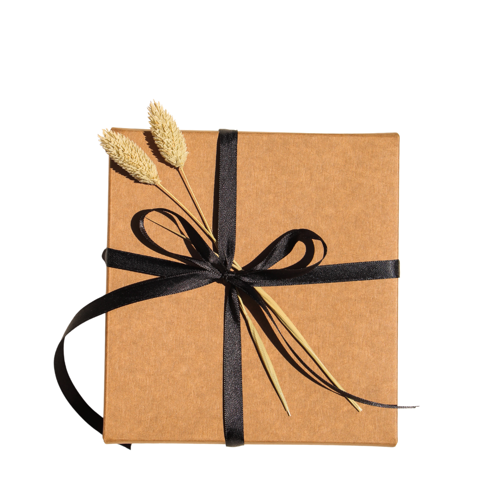 Todos los productos sin fondo (93)