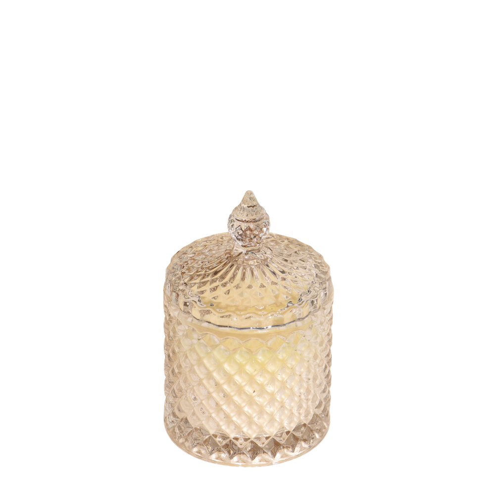 Todos los productos sin fondo (95)